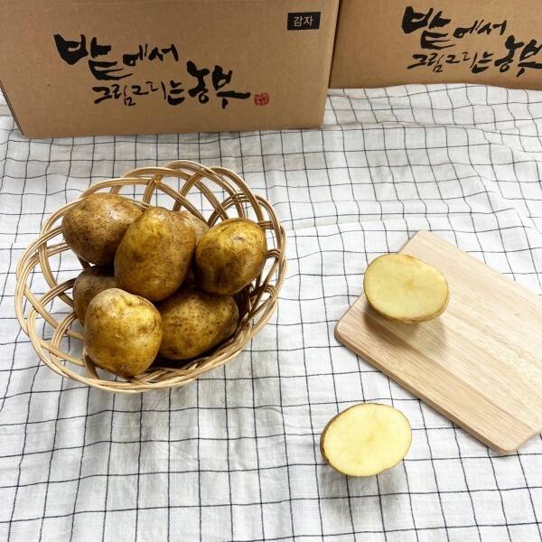 금정농산,금정농산 감자 5kg