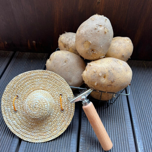 금정농산,감자 3kg 5kg